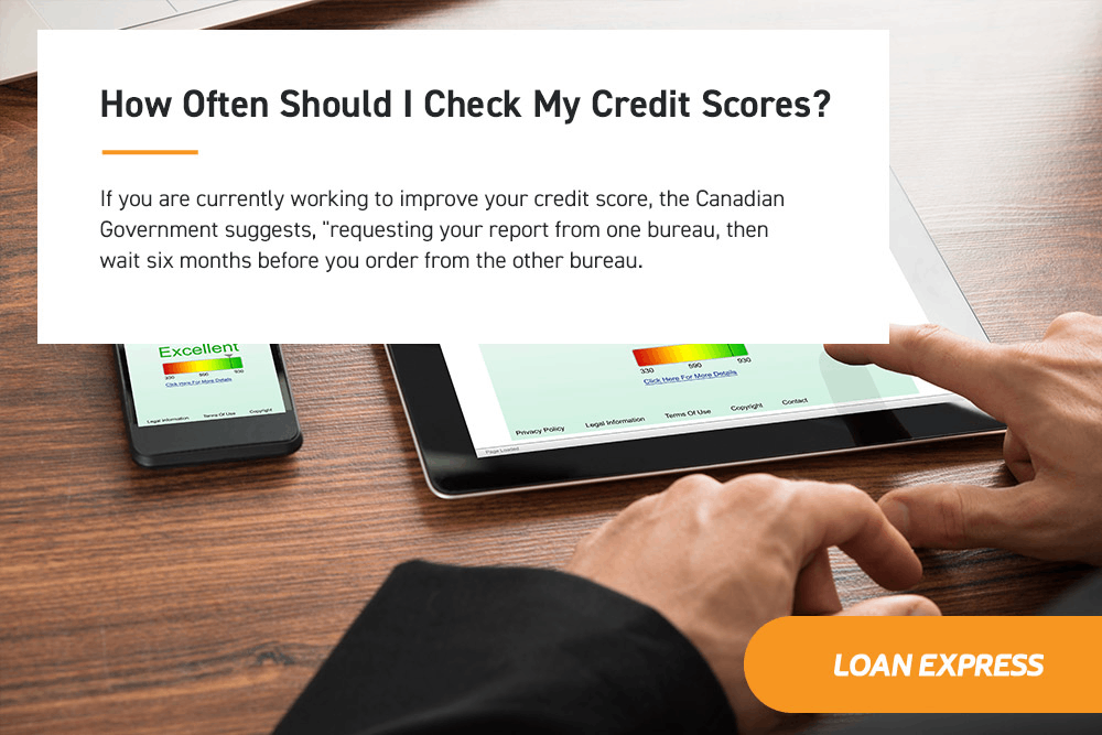 How Often Should I Check My Credit Score - An Infographic