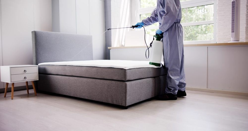 Professional pest control worker in protective suit spraying mattress for bedbugs inside modern bedroom