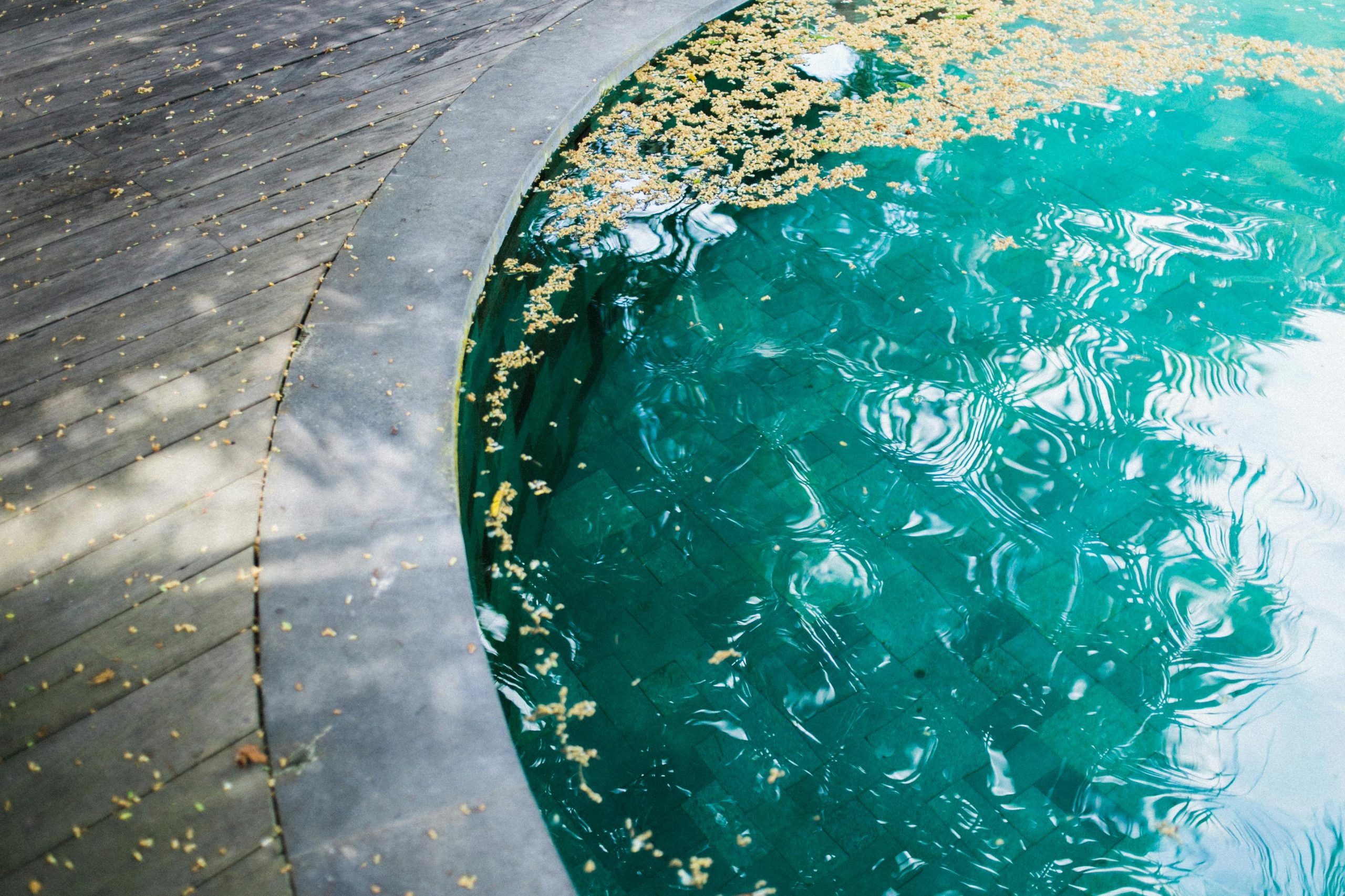 pool with leaves floating on turquoise water and wooden decking