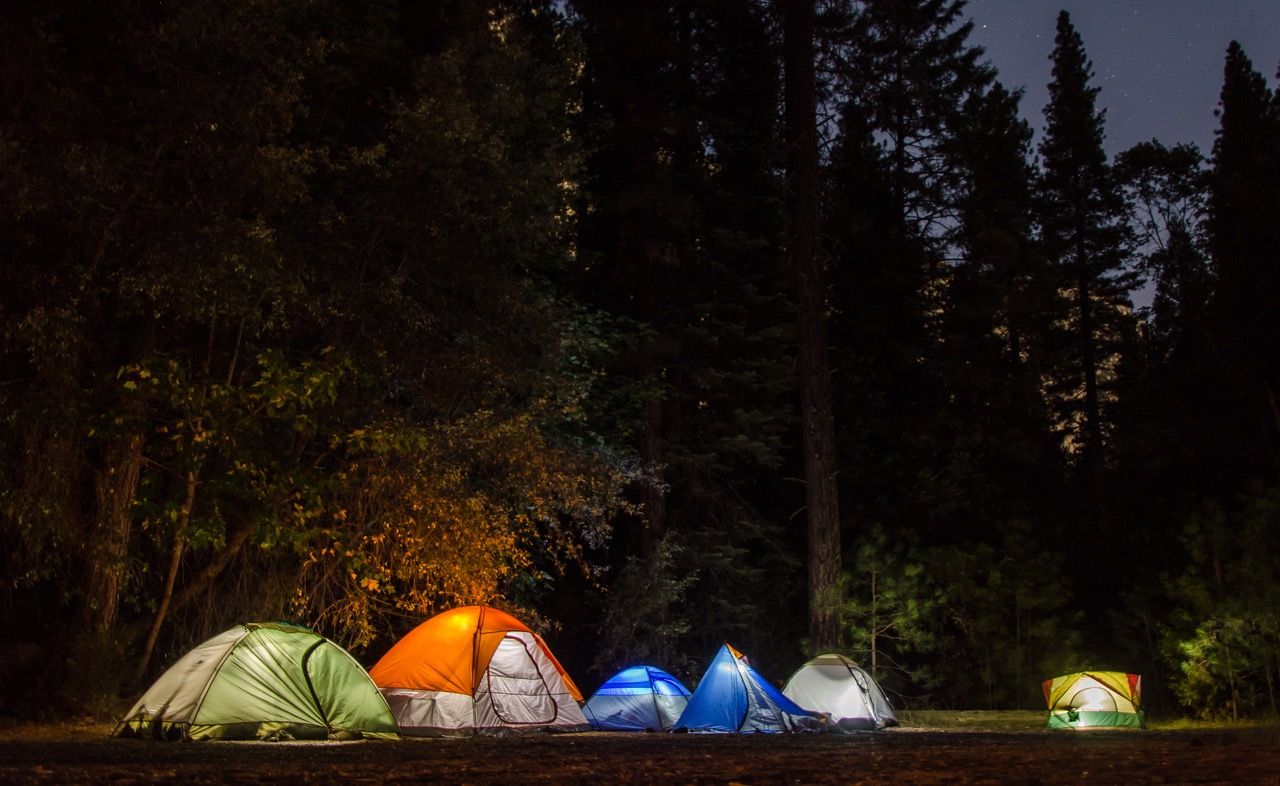 A peaceful campsite with tents illuminated under a night sky in a tranquil forest.